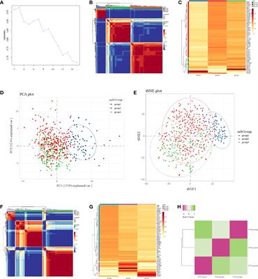 Identification of Metabolism-Related Gene-Based Subgroup in Prostate Cancer